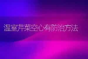 温室芹菜空心有防治方法