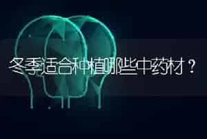 冬季适合种植哪些中药材?
