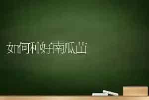 满天星的种植技术