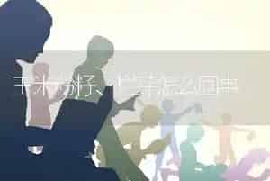 玉米粉籽、烂芽怎么回事
