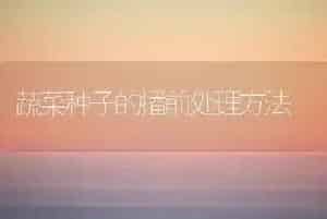 蔬菜种子的播前处理方法