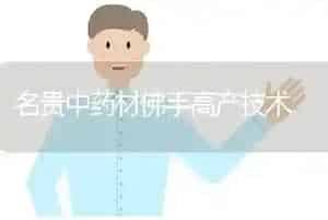 名贵中药材佛手高产技术