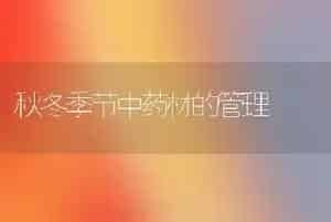 秋冬季节中药材的管理