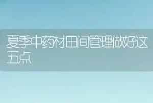 夏季中药材田间管理做好这五点