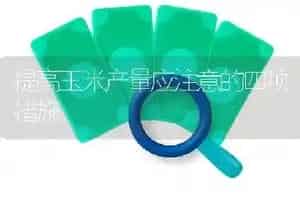 提高玉米产量应注意的四项措施