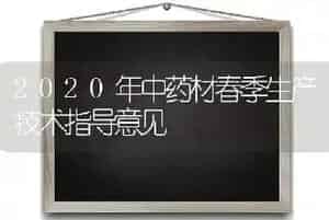 2020年中药材春季生产技术指导意见