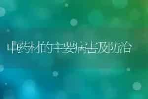 中药材的主要病害及防治