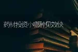 药材投资小哪种见效快