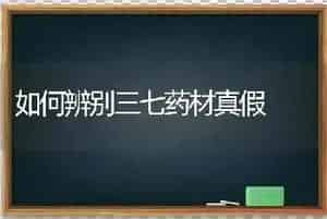 如何辨别三七药材真假