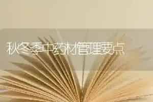 秋冬季中药材管理要点