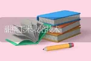 甜糯玉米栽培技术