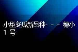 小型冬瓜新品种---穗小1号