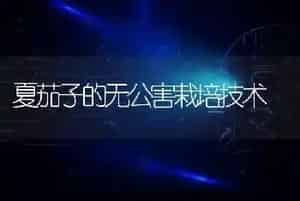 夏茄子的无公害栽培技术