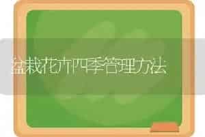中药材易受冻害春季这样管