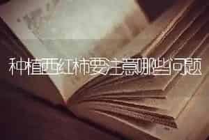 不同类型小麦播种温度要求