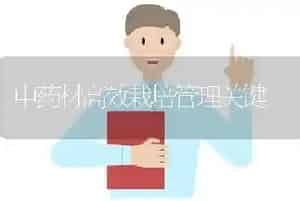 中药材高效栽培管理关键