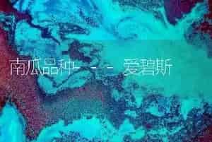 南瓜品种---爱碧斯