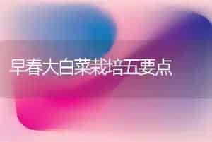 早春大白菜栽培五要点