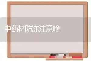 中药材防冻注意啥
