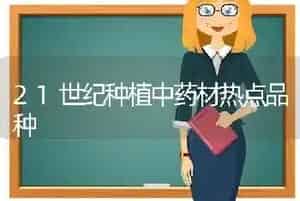 21世纪种植中药材热点品种