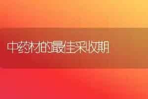 中药材的最佳采收期