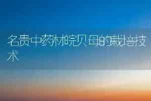 名贵中药材皖贝母的栽培技术