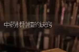 中药材种植的诀窍