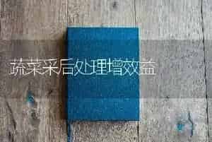 蔬菜采后处理增效益