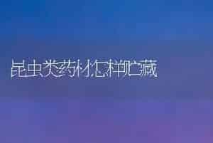 昆虫类药材怎样贮藏