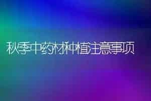 秋季中药材种植注意事项