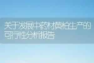 关于发展中药材黄柏生产的可行性分析报告