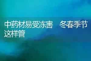 中药材易受冻害 冬春季节这样管
