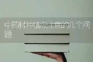 中药材种植应注意的几个问题