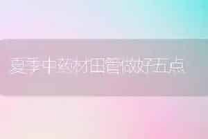 夏季中药材田管做好五点