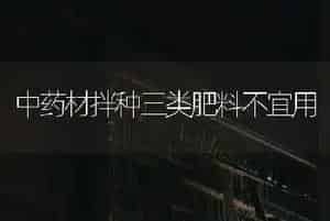 中药材拌种三类肥料不宜用