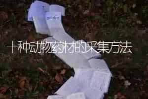 十种动物药材的采集方法