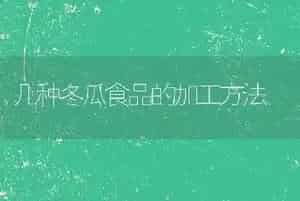 几种冬瓜食品的加工方法
