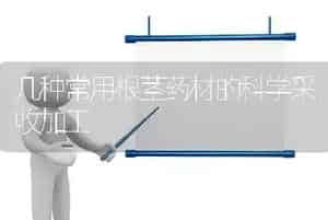 几种常用根茎药材的科学采收加工