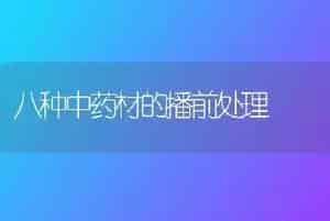 八种中药材的播前处理