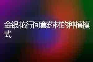 金银花行间套药材的种植模式