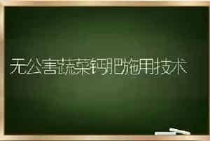 无公害蔬菜钙肥施用技术