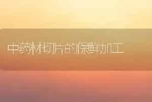 中药材切片的保鲜加工