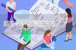 越冬药材防冻五方法