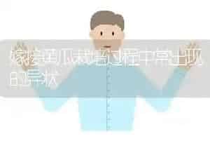 嫁接黄瓜栽培过程中常出现的异状