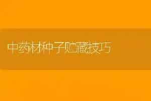 中药材种子贮藏技巧