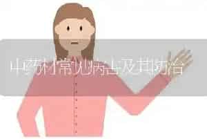 中药材常见病害及其防治