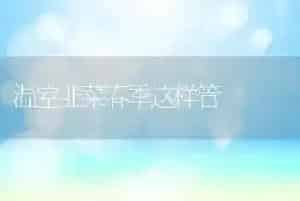 温室韭菜春季这样管