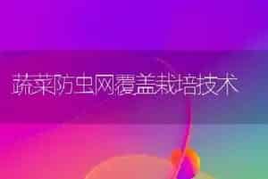 蔬菜防虫网覆盖栽培技术