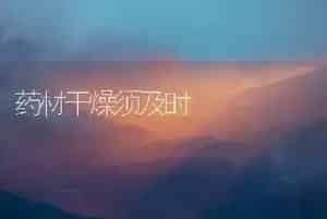 药材干燥须及时