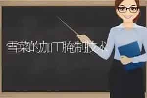 雪菜的加工腌制技术